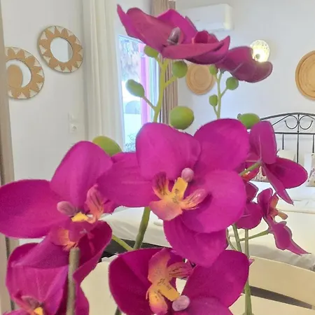 Aphrodite Boutique 3* Alikí