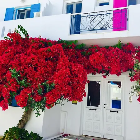 Hotell Aphrodite Boutique 3*